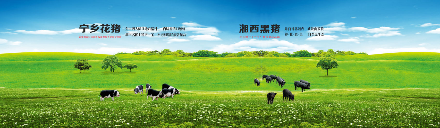 饥渴少妇伦色诱公