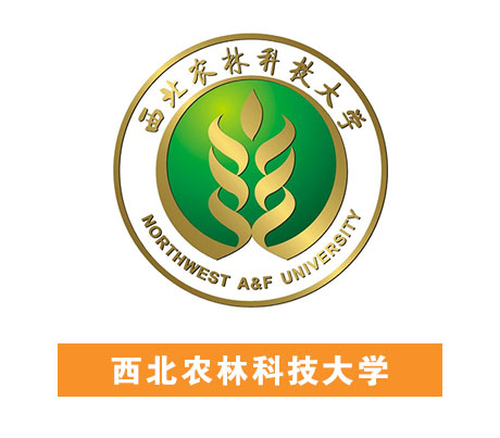 饥渴少妇伦色诱公