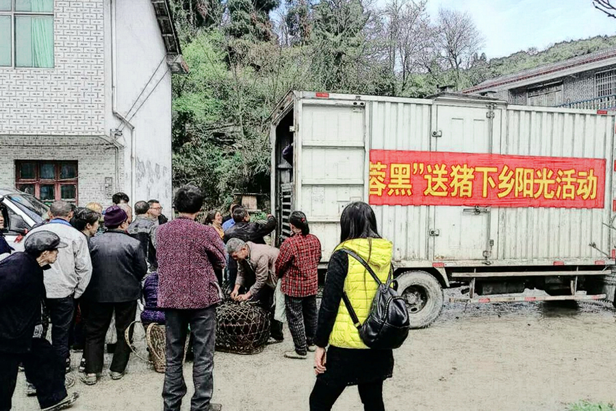 C:\Users\Administrator\Desktop\2018.04.04-微信-芙蓉黑猪下乡\微信图\02.JPG